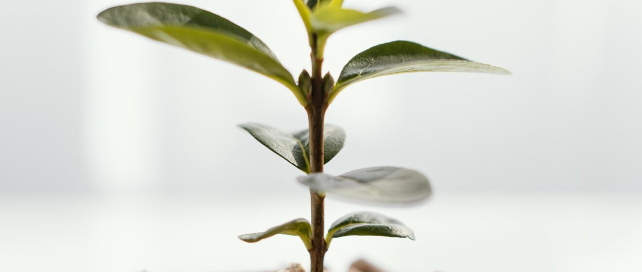 PowerShop.bg – Пелети и резервни части за машини